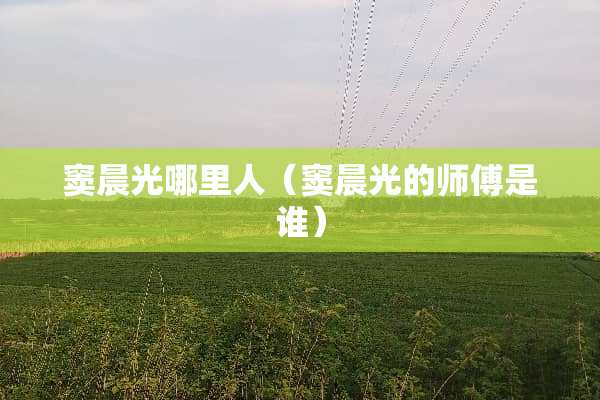 窦晨光哪里人（窦晨光的师傅是谁）