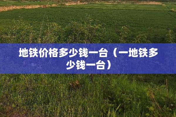 地铁价格多少钱一台（一地铁多少钱一台）