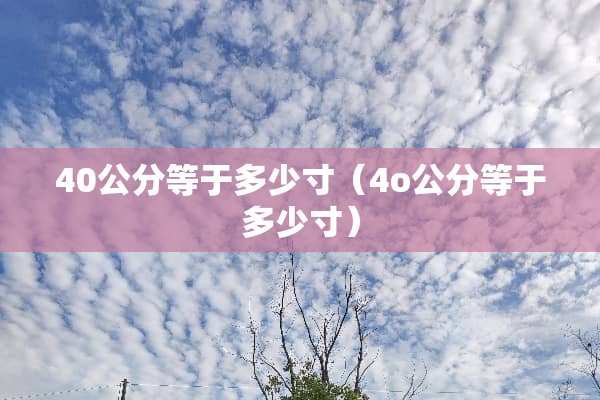 40公分等于多少寸（4o公分等于多少寸）