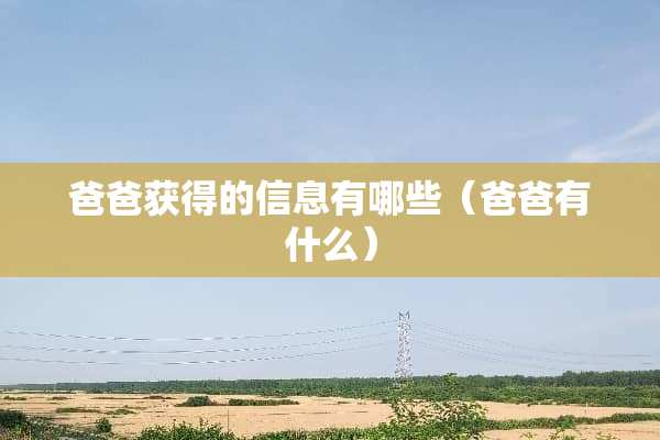 爸爸获得的信息有哪些（爸爸有什么）