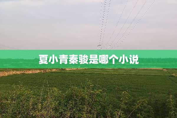 夏小青秦骏是哪个小说