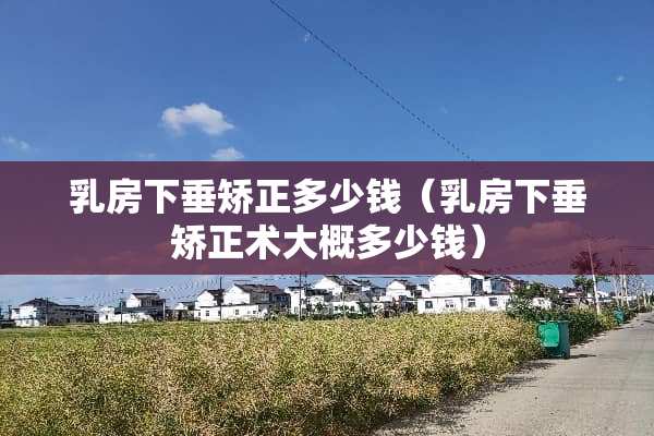 *房下垂矫正多少钱（*房下垂矫正术大概多少钱）