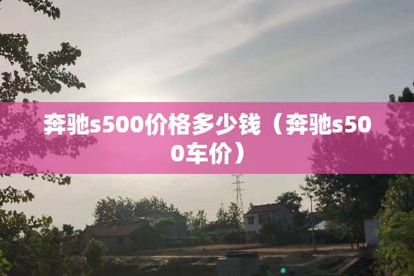 奔驰s500价格多少钱（奔驰s500车价）