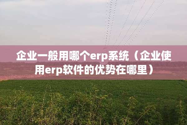 企业一般用哪个erp系统（企业使用erp软件的优势在哪里）