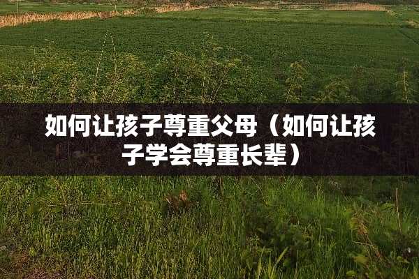 如何让孩子尊重父母（如何让孩子学会尊重长辈）