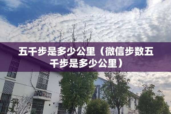 五千步是多少公里（微信步数五千步是多少公里）
