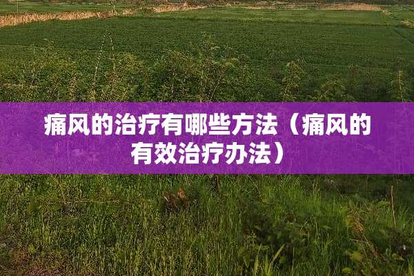 痛风的治疗有哪些方法（痛风的有效治疗办法）