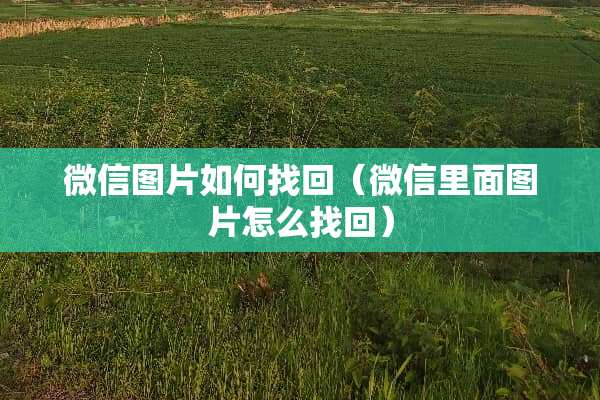 微信图片如何找回（微信里面图片怎么找回）