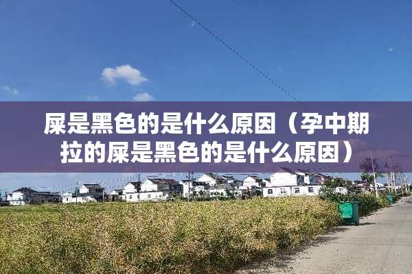 屎是黑色的是什么原因（孕中期拉的屎是黑色的是什么原因）