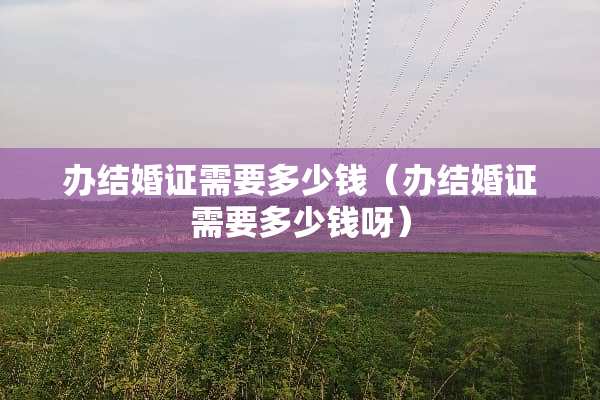 办结婚证需要多少钱（办结婚证需要多少钱呀）