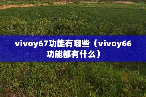 vivoy67功能有哪些（vivoy66功能都有什么）
