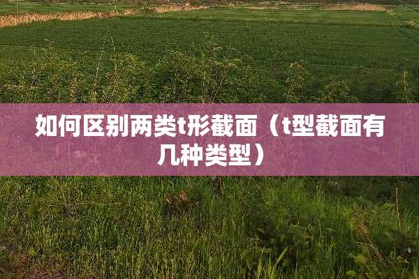 如何区别两类t形截面（t型截面有几种类型）