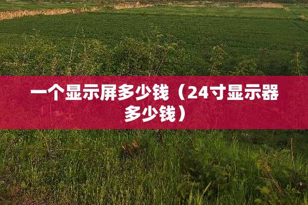一个显示屏多少钱（24寸显示器多少钱）