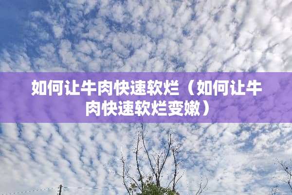 如何让牛肉快速软烂（如何让牛肉快速软烂变嫩）