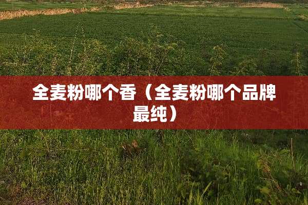 全麦粉哪个香（全麦粉哪个品牌最纯）