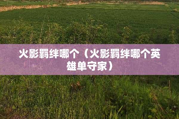 火影羁绊哪个（火影羁绊哪个英雄单守家）
