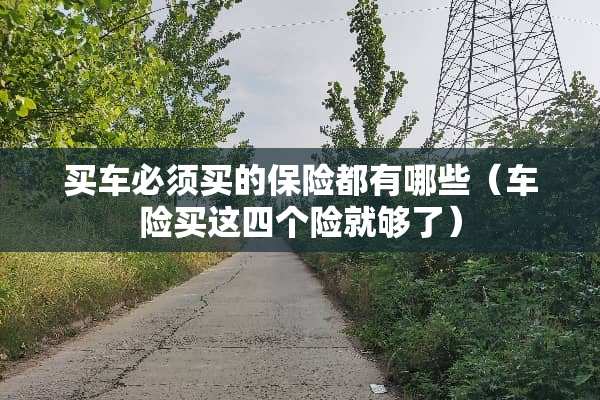 买车必须买的保险都有哪些（车险买这四个险就够了）