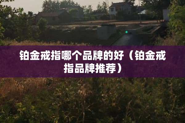 铂金戒指哪个品牌的好（铂金戒指品牌推荐）