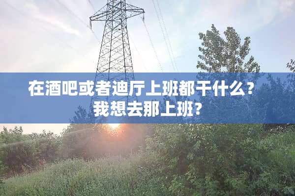 在酒吧或者迪厅上班都干什么？ 我想去那上班？
