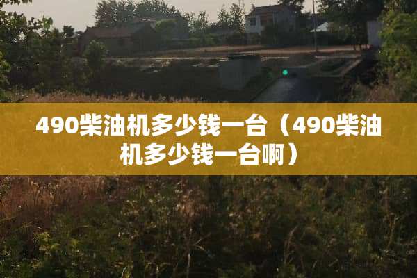 490柴油机多少钱一台（490柴油机多少钱一台啊）