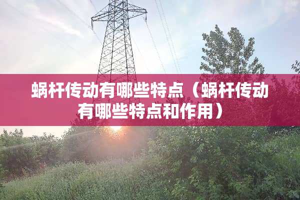 蜗杆传动有哪些特点（蜗杆传动有哪些特点和作用）