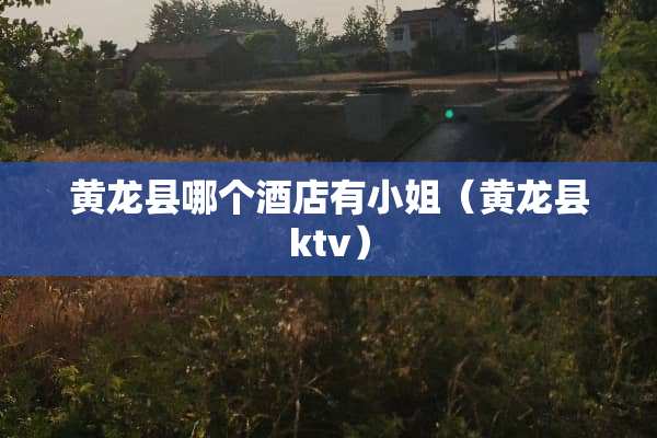 黄龙县哪个酒店有小姐（黄龙县ktv）