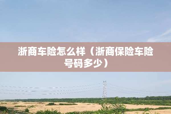 浙商车险怎么样（浙商保险车险号码多少）