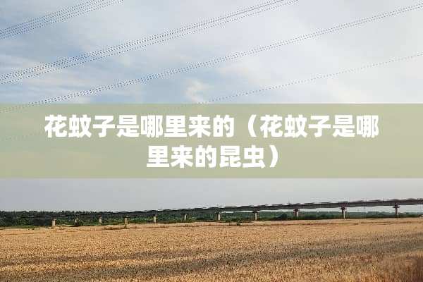 花蚊子是哪里来的（花蚊子是哪里来的昆虫）