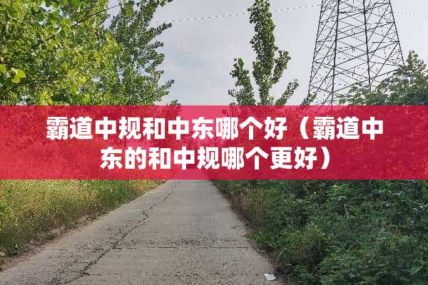 霸道中规和中东哪个好（霸道中东的和中规哪个更好）
