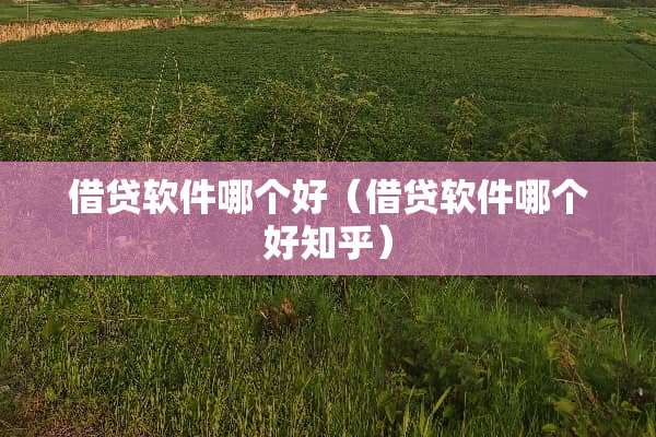 借贷软件哪个好（借贷软件哪个好知乎）