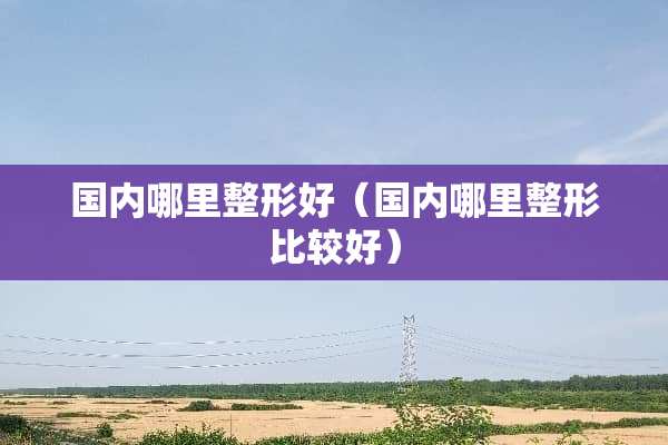 国内哪里整形好（国内哪里整形比较好）