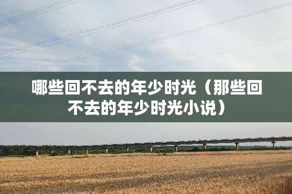 哪些回不去的年少时光（那些回不去的年少时光小说）