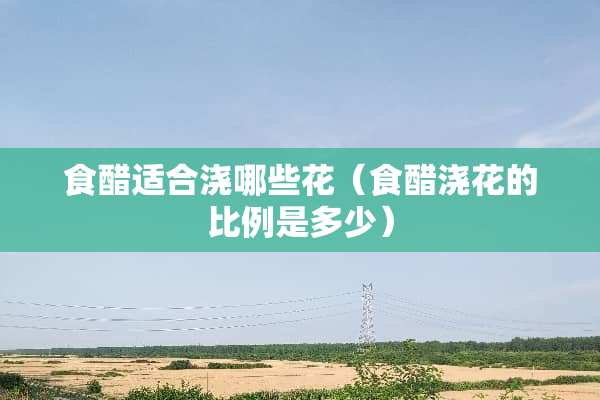 食醋适合浇哪些花（食醋浇花的比例是多少）
