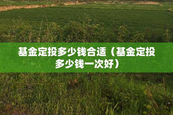 基金定投多少钱合适（基金定投多少钱一次好）