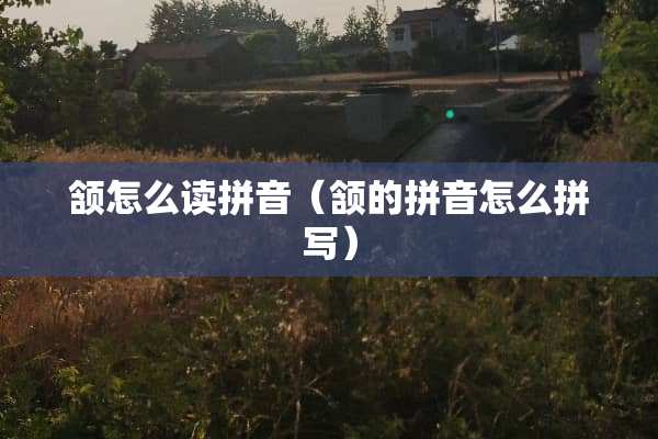 颔怎么读拼音（颔的拼音怎么拼写）