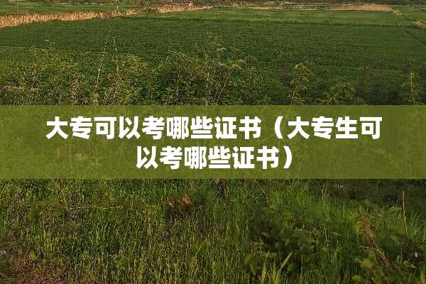 大专可以考哪些证书（大专生可以考哪些证书）