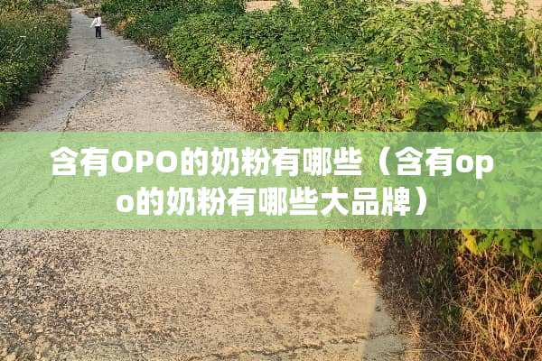 含有OPO的奶粉有哪些（含有opo的奶粉有哪些大品牌）