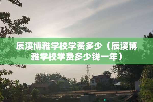 辰溪博雅学校学费多少（辰溪博雅学校学费多少钱一年）