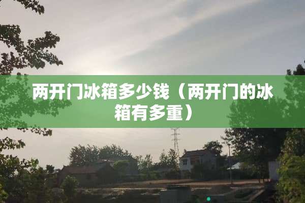 两开门冰箱多少钱（两开门的冰箱有多重）