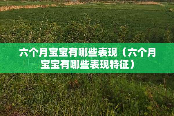六个月宝宝有哪些表现（六个月宝宝有哪些表现特征）