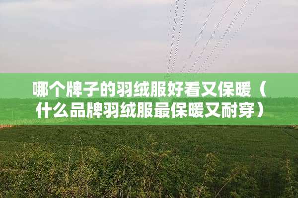 哪个牌子的羽绒服好看又保暖（什么品牌羽绒服最保暖又耐穿）