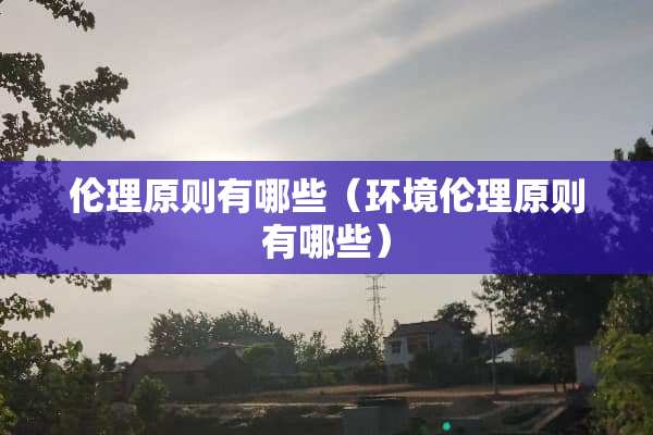 伦理原则有哪些（环境伦理原则有哪些）