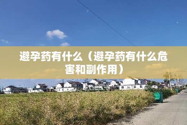 避孕药有什么（避孕药有什么危害和副作用）