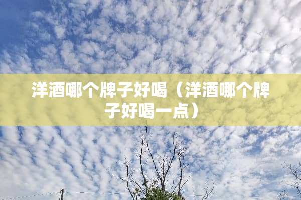 洋酒哪个牌子好喝（洋酒哪个牌子好喝一点）