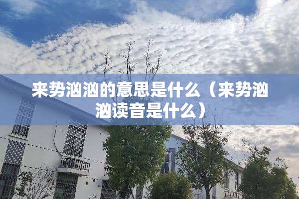 来势汹汹的意思是什么（来势汹汹读音是什么）