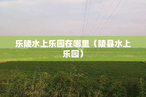 乐陵水上乐园在哪里（陵县水上乐园）
