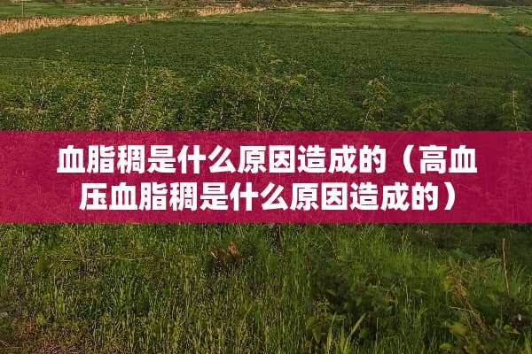 血脂稠是什么原因造成的（高血压血脂稠是什么原因造成的）
