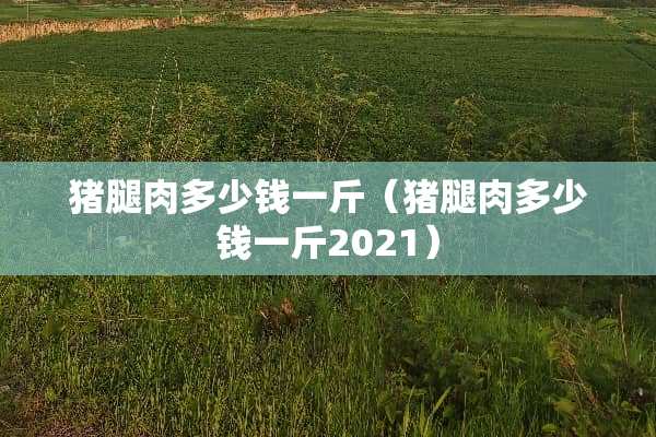 猪腿肉多少钱一斤（猪腿肉多少钱一斤2021）