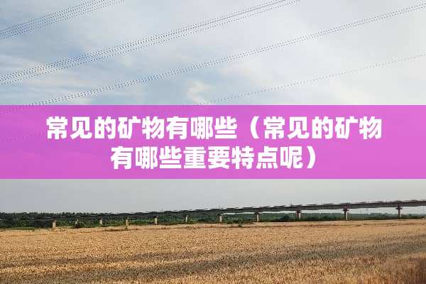 常见的矿物有哪些（常见的矿物有哪些重要特点呢）