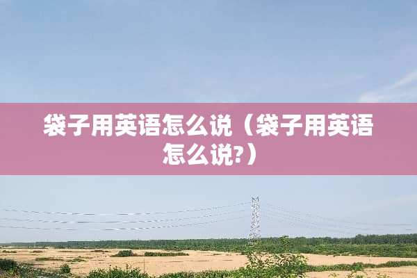 袋子用英语怎么说（袋子用英语怎么说?）